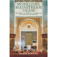 Mobilizing Mainstream Islam by Saskia Sch�fer, 9781501785245