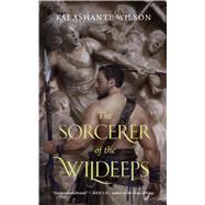 The Sorcerer of the Wildeeps by Wilson, Kai Ashante, 9780765385246