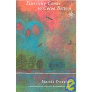 Electricity Comes to Cocoa Bottom by Douglas, Marcia, 9781900715287
