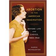 Abortion in the American Imagination by Weingarten, Karen, 9780813565293