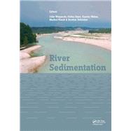 River Sedimentation by Silke Wieprecht; Stefan Haun; Karolin Weber; Markus Noack; Kristina Terheiden, 9781317225294