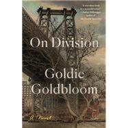 On Division by Goldbloom, Goldie, 9780374175313