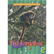 Tree Kangaroos by Miller, Chuck, 9780739855324
