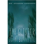 The Glister by Burnside, John, 9780307455338