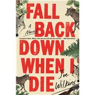 Fall Back Down When I Die by Wilkins, Joe, 9780316475341