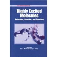 Highly Excited Molecules Relaxation, Reaction, and Structure by Mullin, Amy S.; Schatz, George C., 9780841235342