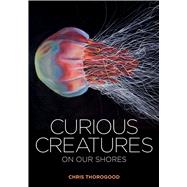 Curious Creatures on Our Shores by Thorogood, Chris, 9781851245345