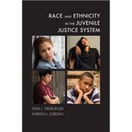 Race and Ethnicity in the Juvenile Justice System by Freiburger, Tina L.; Jordan, Kareem L., 9781611635348