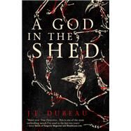 A God in the Shed by Dubeau, J. F., 9781942645351