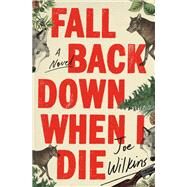 Fall Back Down When I Die by Wilkins, Joe, 9780316475358