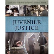 Cengage Advantage Books: Juvenile Justice by Hess, Kren; Orthmann, Christine; Wright, John, 9781133525370