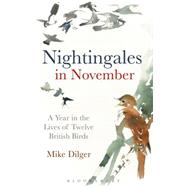 Nightingales in November by Dilger, Mike, 9781472915375