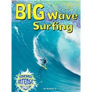 Big Wave Surfing by Bailey, Diane, 9781634305389