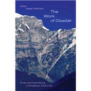 The Work of Disaster by Aidan Seale-Feldman, 9780226845395