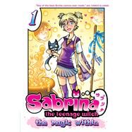 Sabrina the Teenage Witch: The Magic Within 1 by DEL RIO, TANIA, 9781936975396