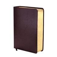 Niv Study Bible by New International Version, 9781473615403