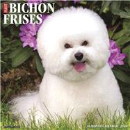 Just Bichons Frises 2020 Calendar by Willow Creek Press, 9781549205408