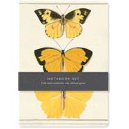 Butterfly Notebook Set by Walworth, Julia; Bodleian Library; Oxford University Museum of Natural History; Bodleian Library, The,, Bodleian Library, The,, 9781851245413