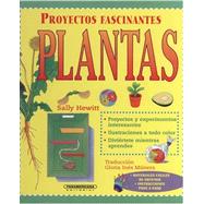 Plantas/ Plants by Hewitt, Sally, 9789583015427