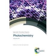 Photochemistry by Albini, Angelo; Liu, Ya-jun (CON); Fasani, Elisa; Tsuno, Takashi (CON); Mizuno, Kazuhiko (CON), 9781782625438