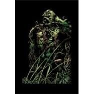 Saga of the Swamp Thing Book Two by MOORE, ALANBISSETTE, STEPHEN, 9781401225445