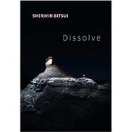 Dissolve by Bitsui, Sherwin, 9781556595455