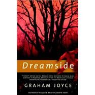 Dreamside by Graham Joyce, 9780312875466