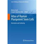 Atlas of Human Pluripotent Stem Cells by Amit, Michal; Itskovitz-eldor, Joseph; Laevsky, Ilana (CON); Novak, Atara (CON), 9781617795473