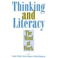Thinking and Literacy by Hedley; Carolyn N., 9780805815474