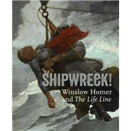 Shipwreck! Winslow Homer and 