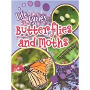 Butterflies and Moths by Lundgren, Julie K., 9781615905478
