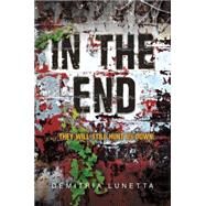 In the End by Lunetta, Demitria, 9780062105493