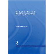 Productivity Growth in Developing Countries: The Role of Efficiency by Mamgain,Vaishali, 9781138985513