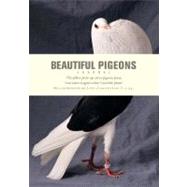 Beautiful Pigeons Journal by Ivy Press, 9781908005526