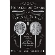 Horseshoe Crabs and Velvet Worms by FORTEY, RICHARD, 9780307275530