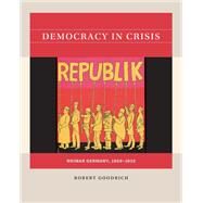 Democracy in Crisis by Robert Goodrich, 9781469665542