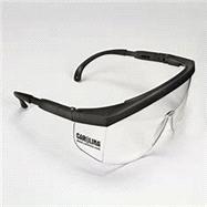 Carolina Adjustable Safety Glasses (#646705) (No Returns Allowed) by Carolina Biological Supply Company, 8780000155550