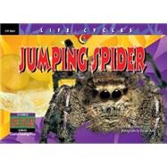 Jumping Spider by Schwartz, David M.; Pascoe, Elaine; Lewis, Sue; Kuhn, Dwight, 9781574715552