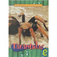 Tarantulas by Steele, Christy, 9780739835562