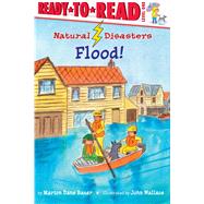 Flood! Ready-to-Read Level 1 by Bauer, Marion  Dane; Wallace, John, 9781534465565