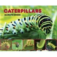 Caterpillars by Singer, Marilyn, 9780979745577