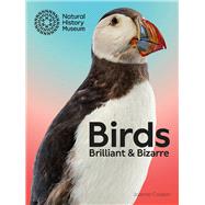 Birds Brilliant and Bizarre by Cooper, Jo; Speight, Beccy, 9780565095581