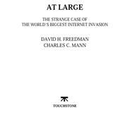 At Large The Strange Case of the World's Biggest Internet Invasion by Mann, Charles C.; Freedman, David H., 9780684835587