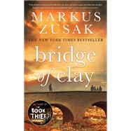 Bridge of Clay by ZUSAK, MARKUS, 9780375945595
