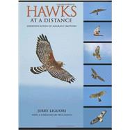 Hawks at a Distance by Liguori, Jerry; Dunne, Pete, 9780691135595