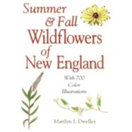 Summer & Fall Wildflowers of New England by Love, Pamela, 9780892725595