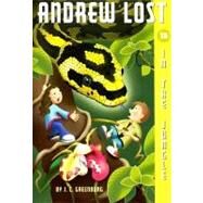 Andrew Lost #15: In the Jungle by Greenburg, J. C.; Gerardi, Jan, 9780375835643
