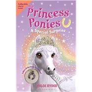Princess Ponies 7: A Special Surprise by Ryder, Chloe, 9781619635654
