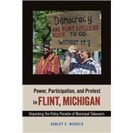 Power, Participation, and Protest in Flint, Michigan by Nickels, Ashley E., 9781439915660