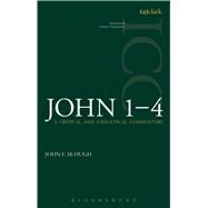 John 1-4 A Critical and Exegetical Commentary by McHugh, John F, 9780567595669